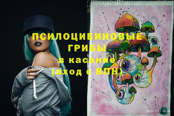спиды Алексин