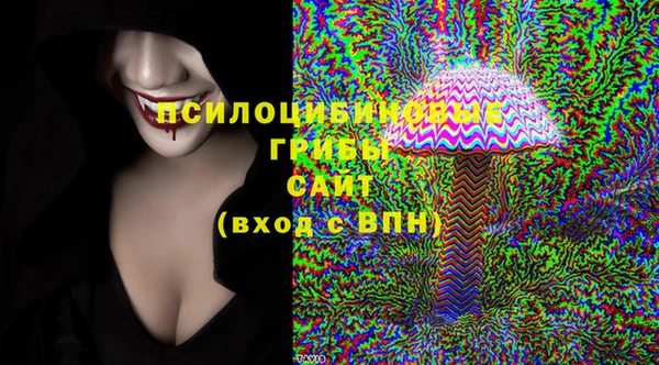 спиды Алексин